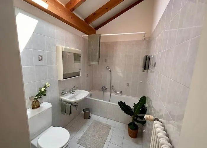 Cozy Ascona: Attico Mansardato *